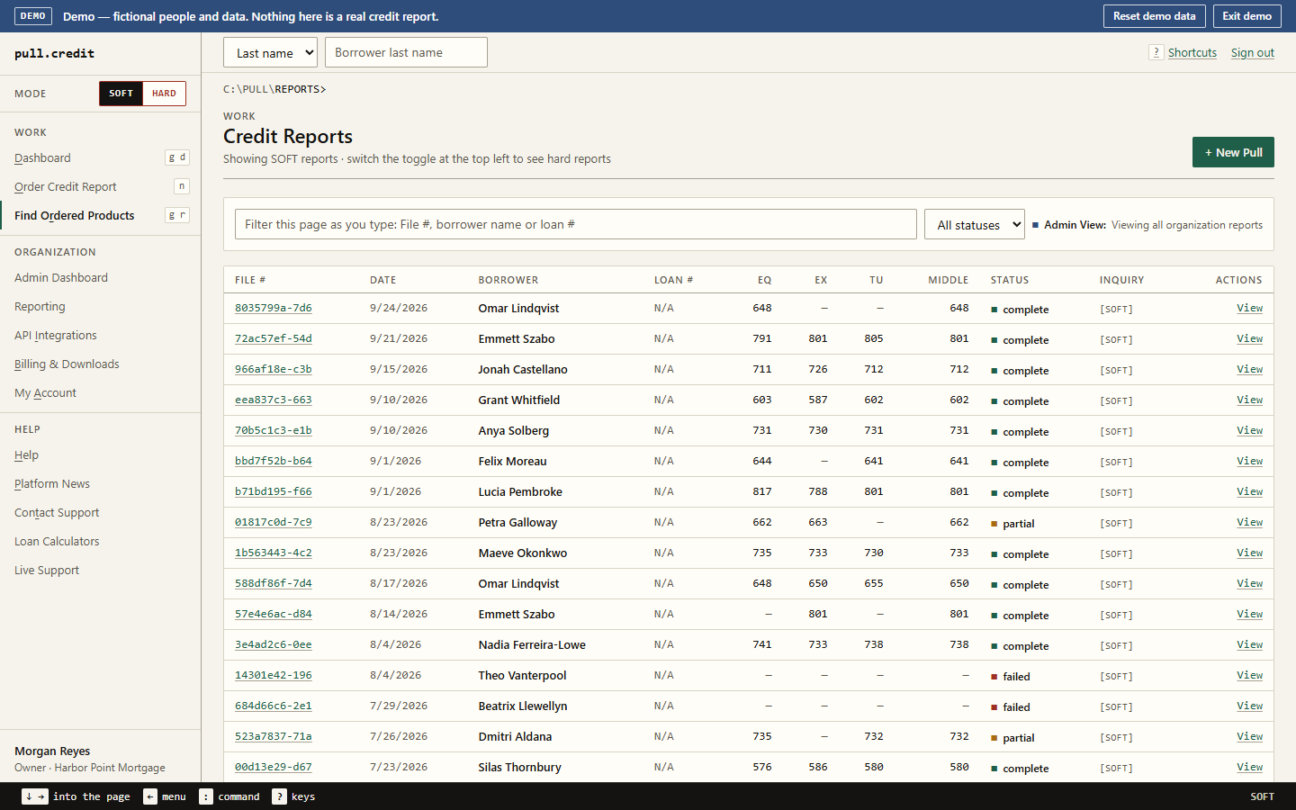 Credit reports list filtered to soft pulls: file number, date, borrower, Equifax, Experian and TransUnion scores, middle score, status and inquiry type for each report